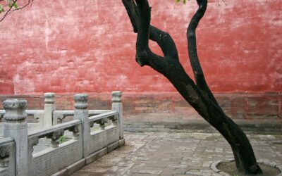 Paying Homage to Bai Juyi’s Tomb  by Ma Yongbo