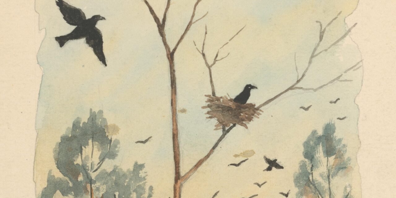 tale of a crow who trades jewels for gossip by Sumayya Arshed
