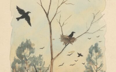 tale of a crow who trades jewels for gossip by Sumayya Arshed