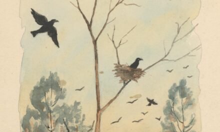 tale of a crow who trades jewels for gossip by Sumayya Arshed