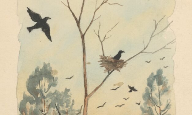 tale of a crow who trades jewels for gossip by Sumayya Arshed